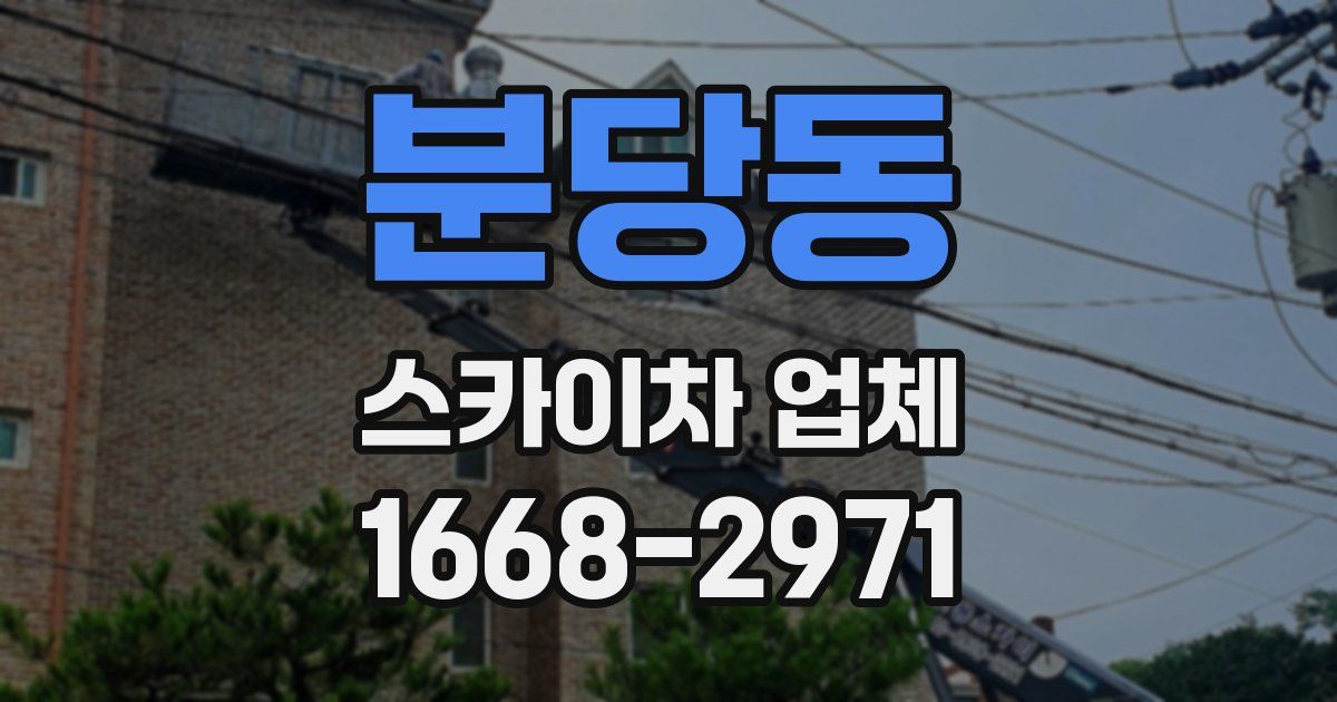분당동 스카이차 업체