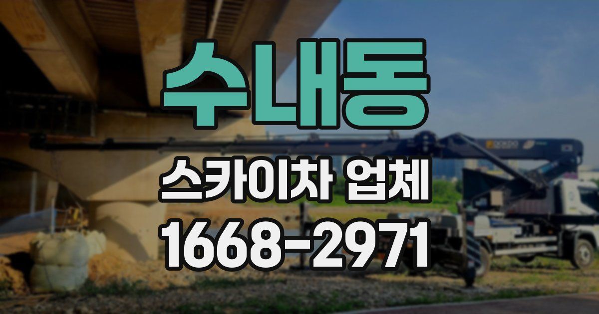 수내동 스카이차 업체