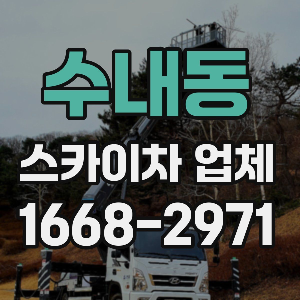 수내동 스카이차 업체