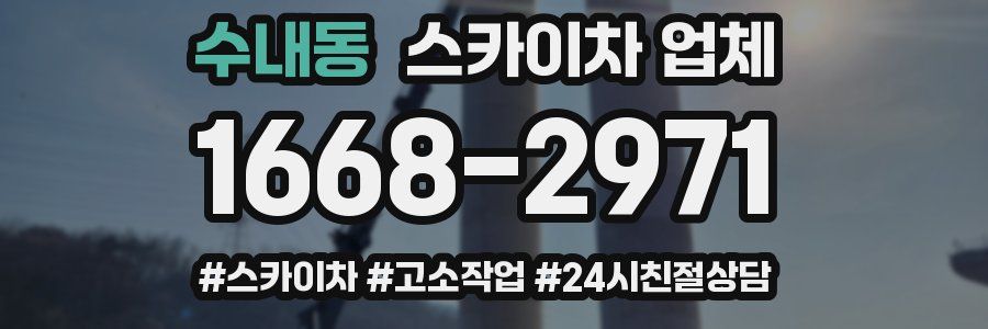 수내동 스카이차 업체