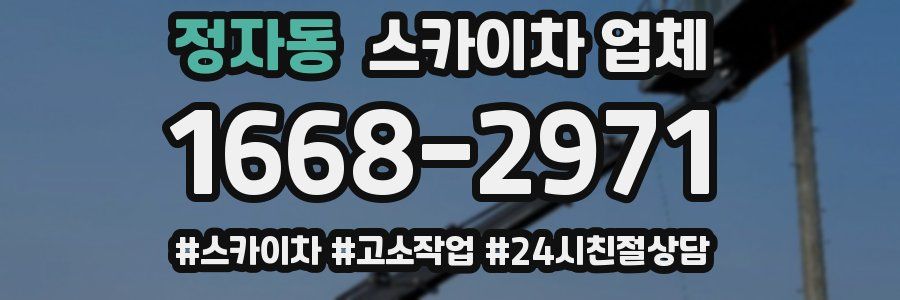 정자동 스카이차 업체