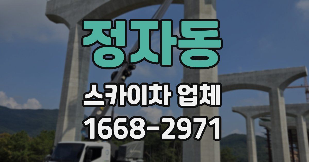 정자동 스카이차 업체