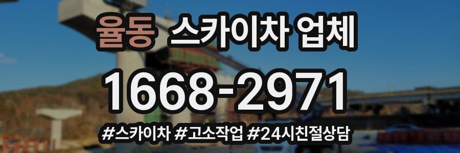 율동 스카이차 업체