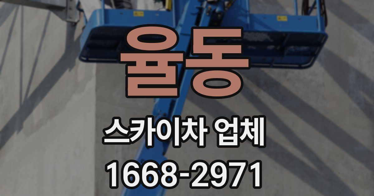 율동 스카이차 업체