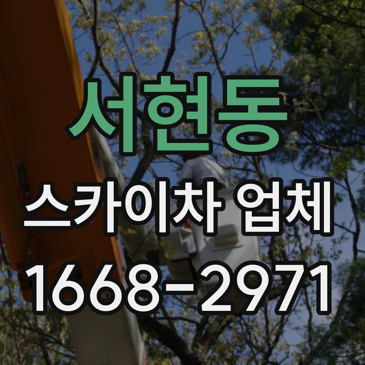 서현동 스카이차 업체