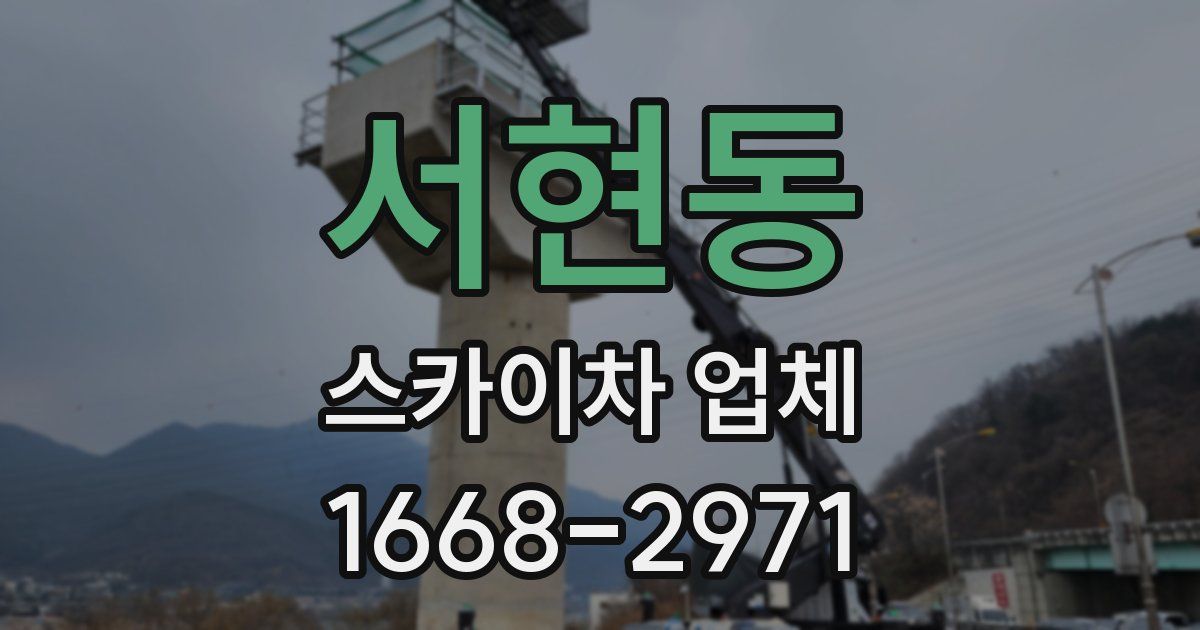 서현동 스카이차 업체