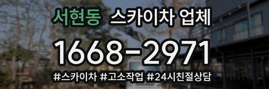 서현동 스카이차 업체
