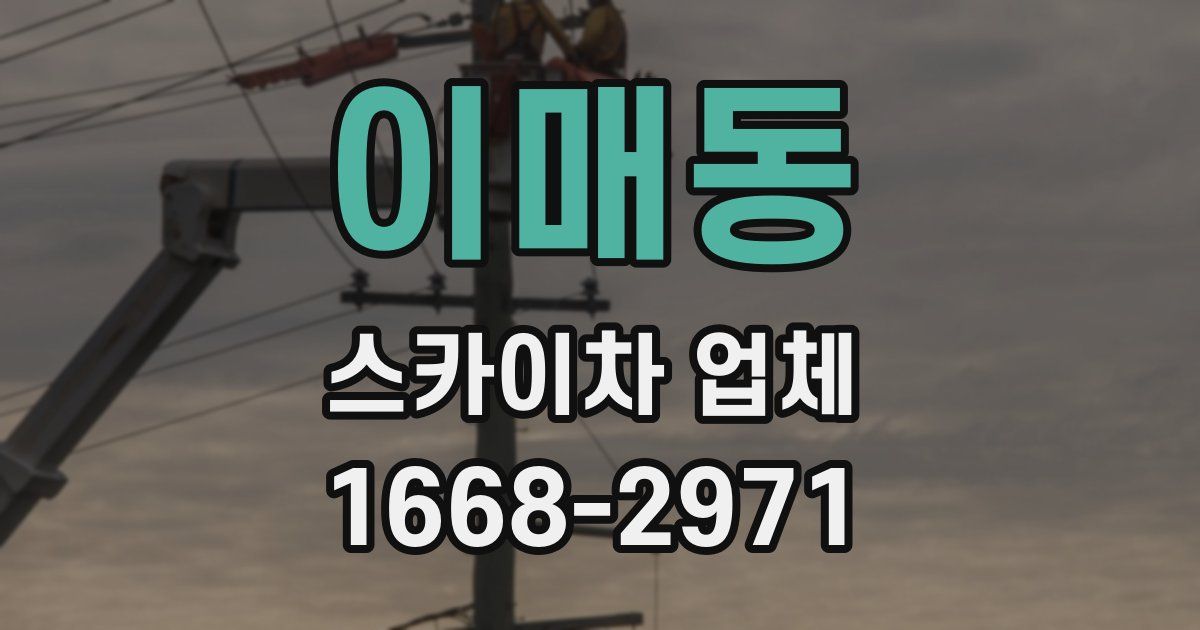 이매동 스카이차 업체