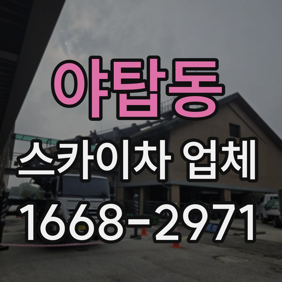 야탑동 스카이차 업체