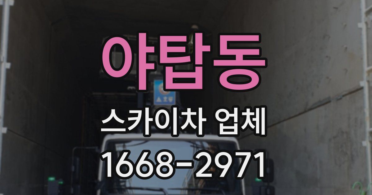 야탑동 스카이차 업체