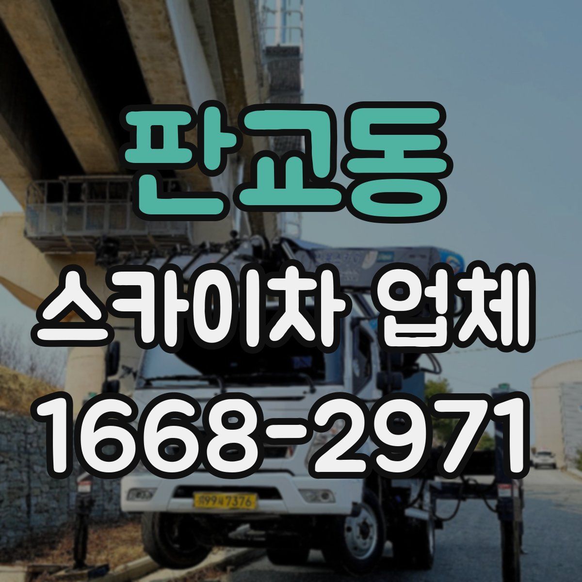 판교동 스카이차 업체