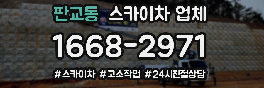 판교동 스카이차 업체