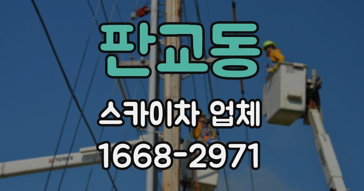 판교동 스카이차 업체