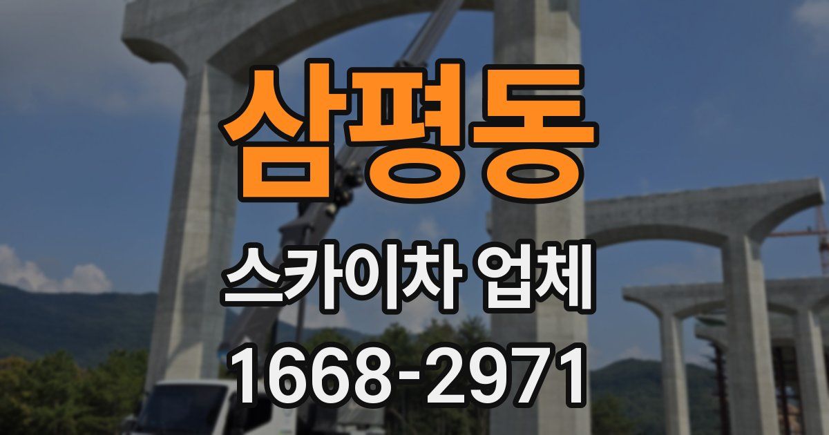 삼평동 스카이차 업체