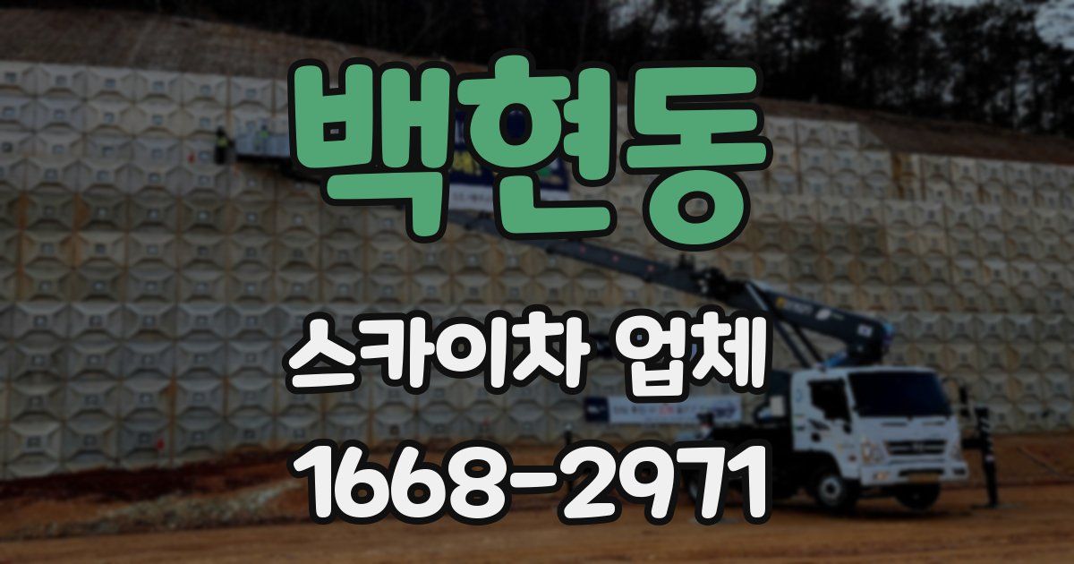 백현동 스카이차 업체
