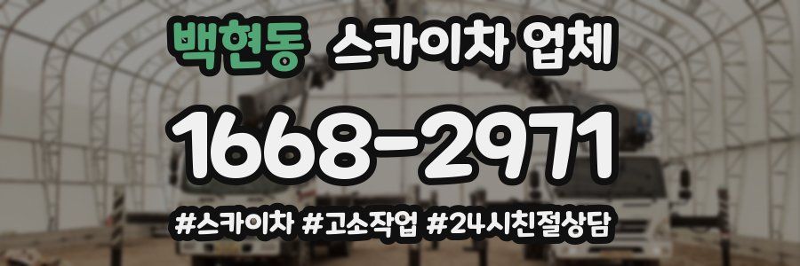 백현동 스카이차 업체