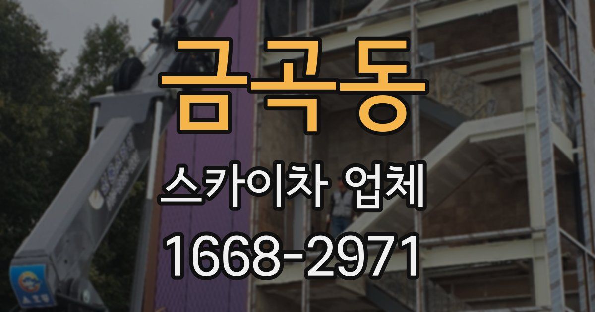 금곡동 스카이차 업체