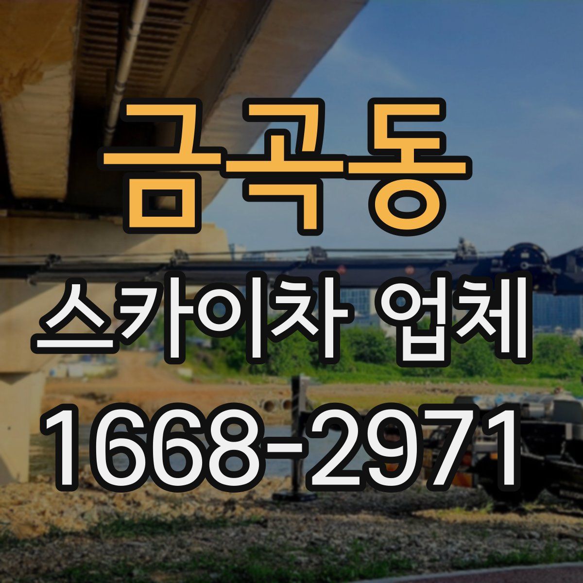 금곡동 스카이차 업체