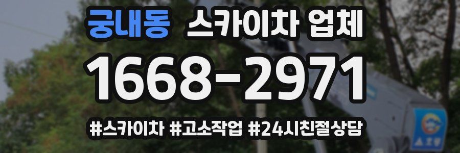 궁내동 스카이차 업체