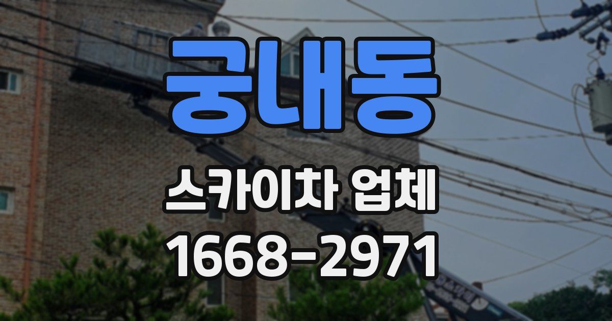 궁내동 스카이차 업체