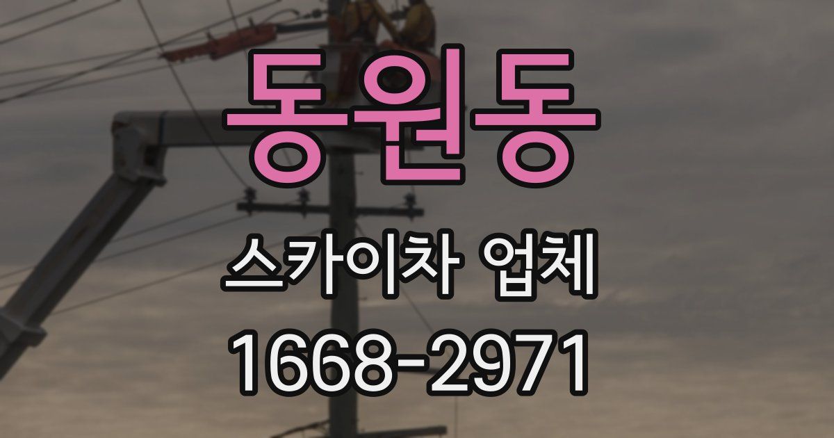 동원동 스카이차 업체