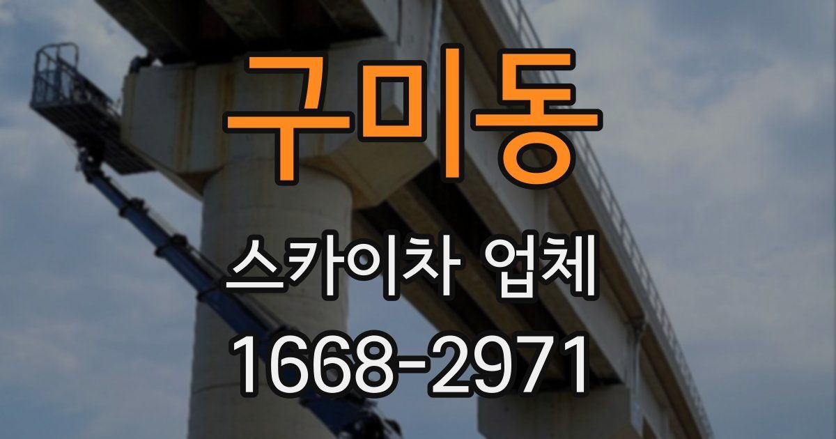 구미동 스카이차 업체