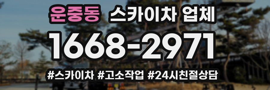운중동 스카이차 업체