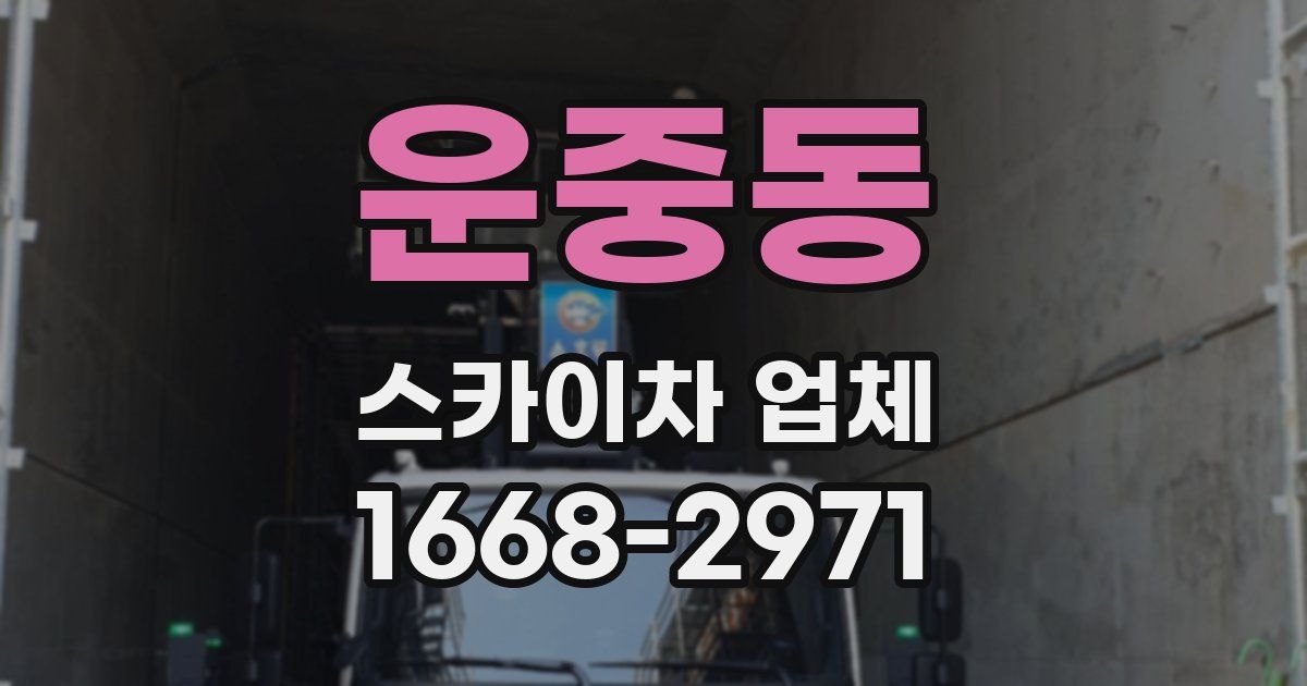 운중동 스카이차 업체