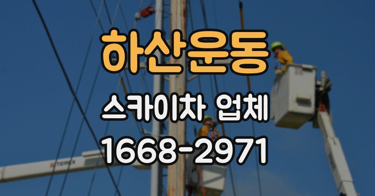 하산운동 스카이차 업체