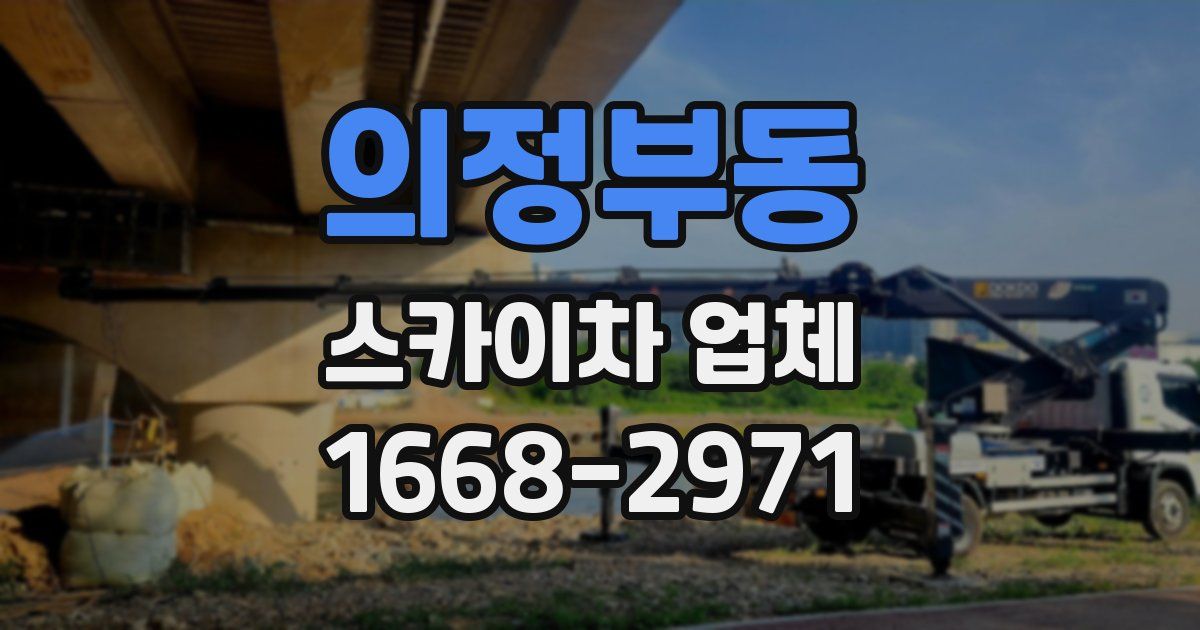 의정부동 스카이차 업체