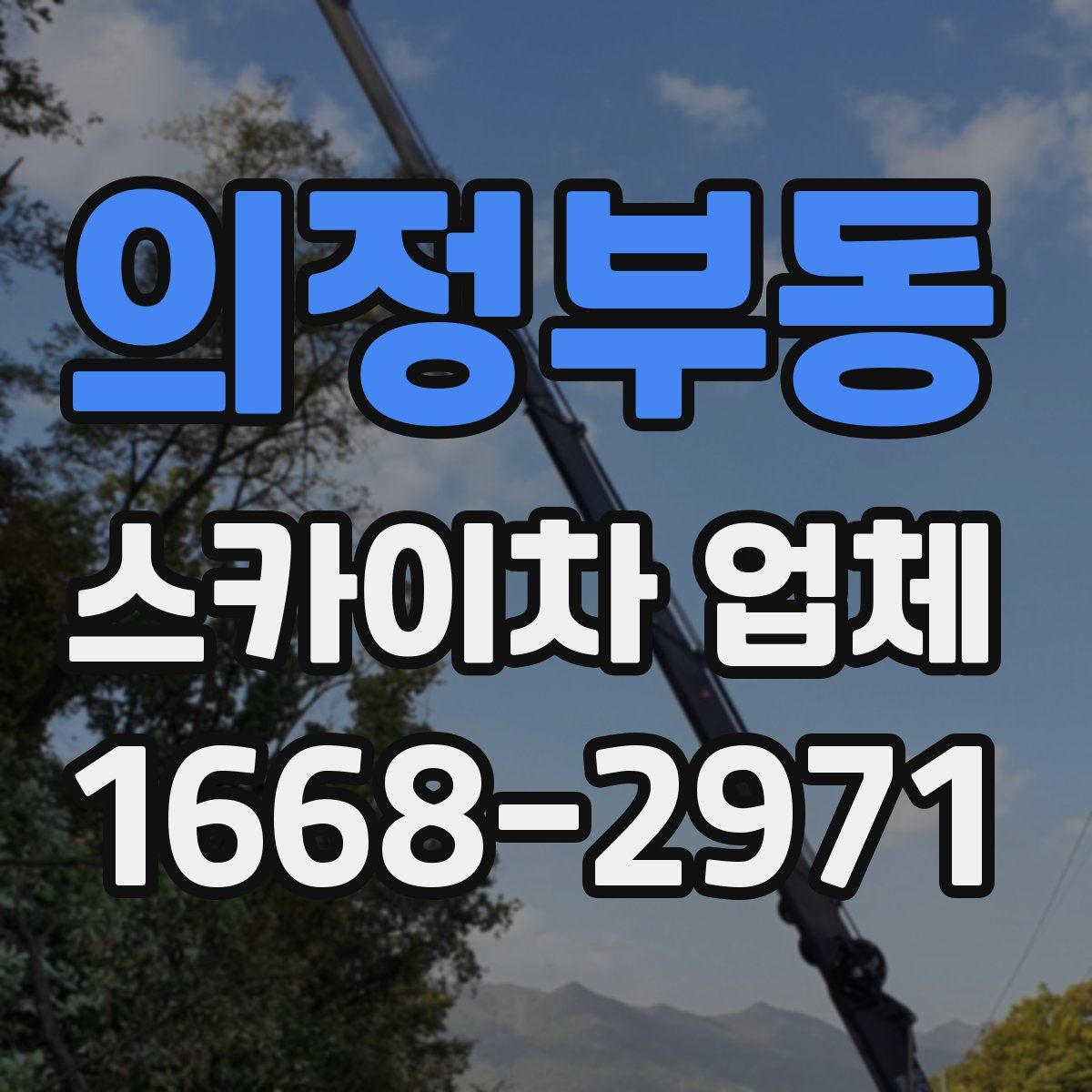 의정부동 스카이차 업체