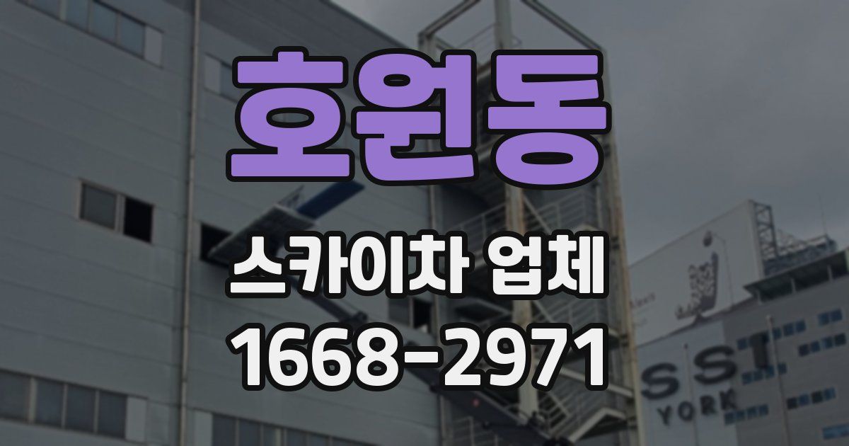 호원동 스카이차 업체