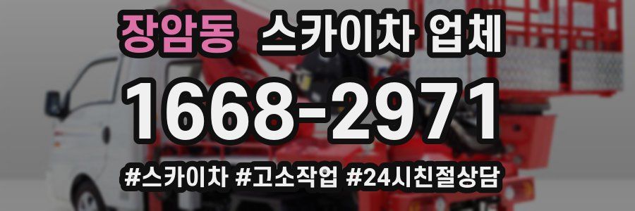 장암동 스카이차 업체