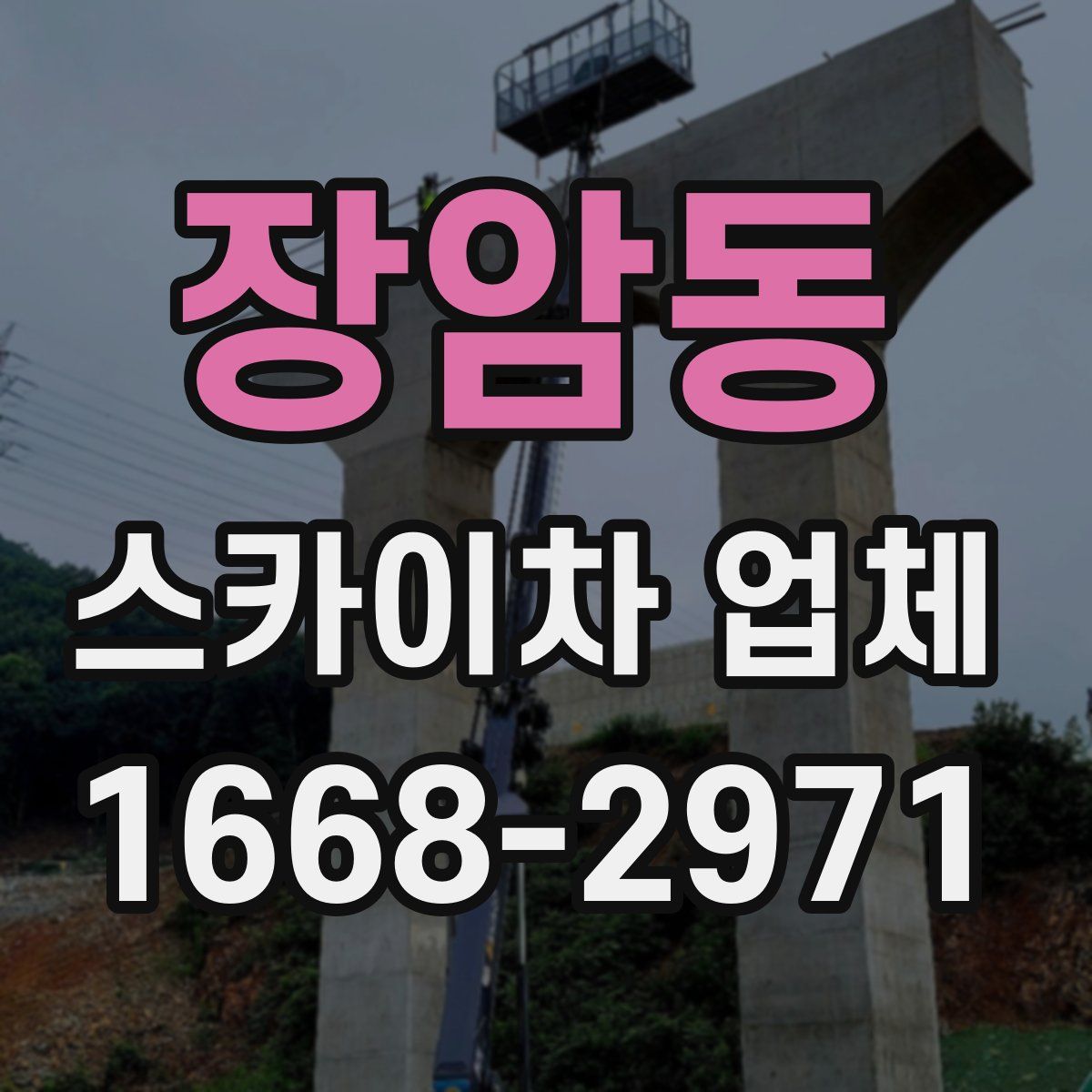 장암동 스카이차 업체