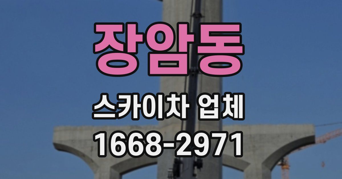 장암동 스카이차 업체