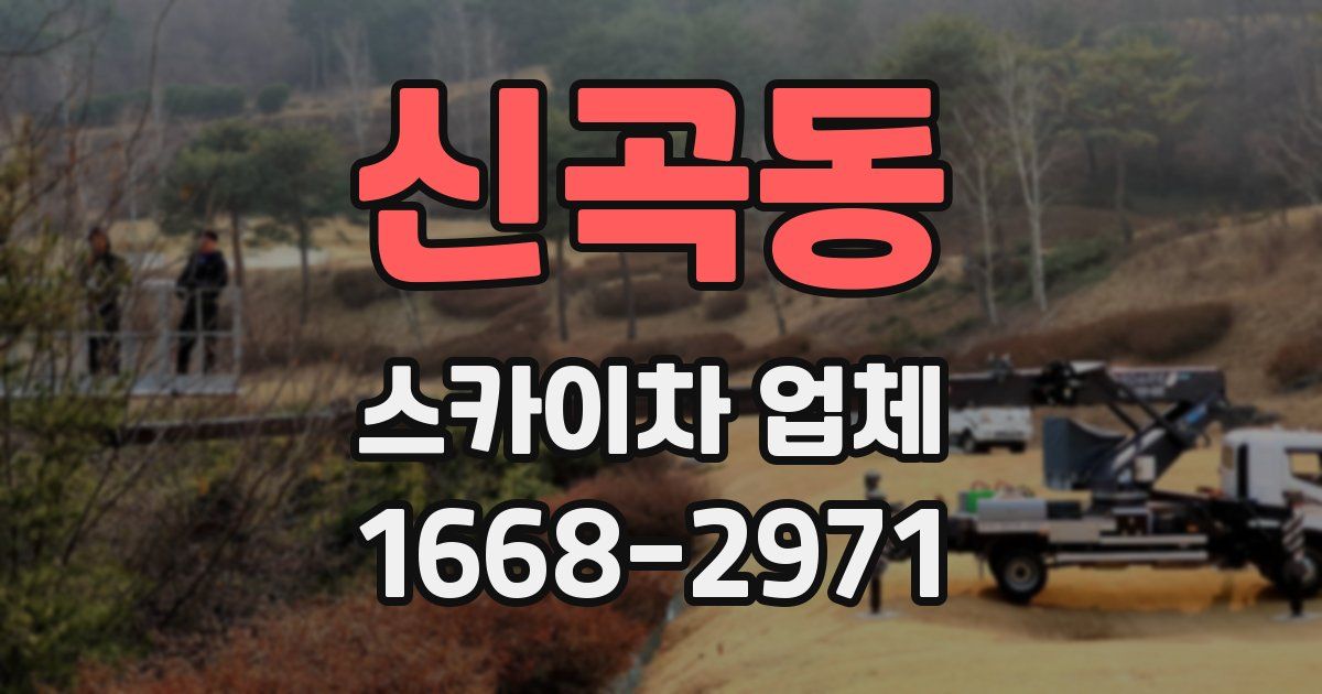 신곡동 스카이차 업체