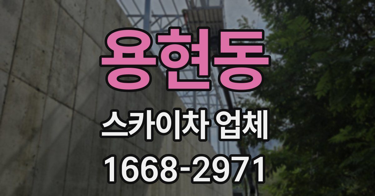 용현동 스카이차 업체
