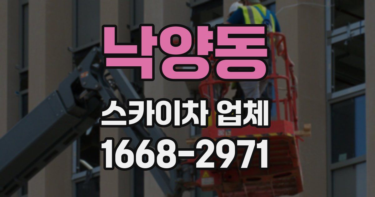 낙양동 스카이차 업체