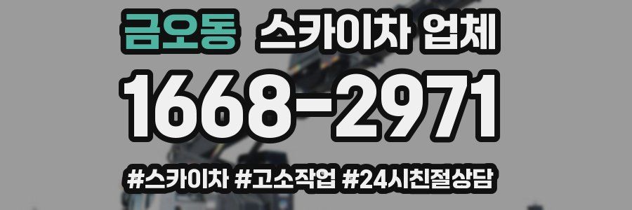 금오동 스카이차 업체