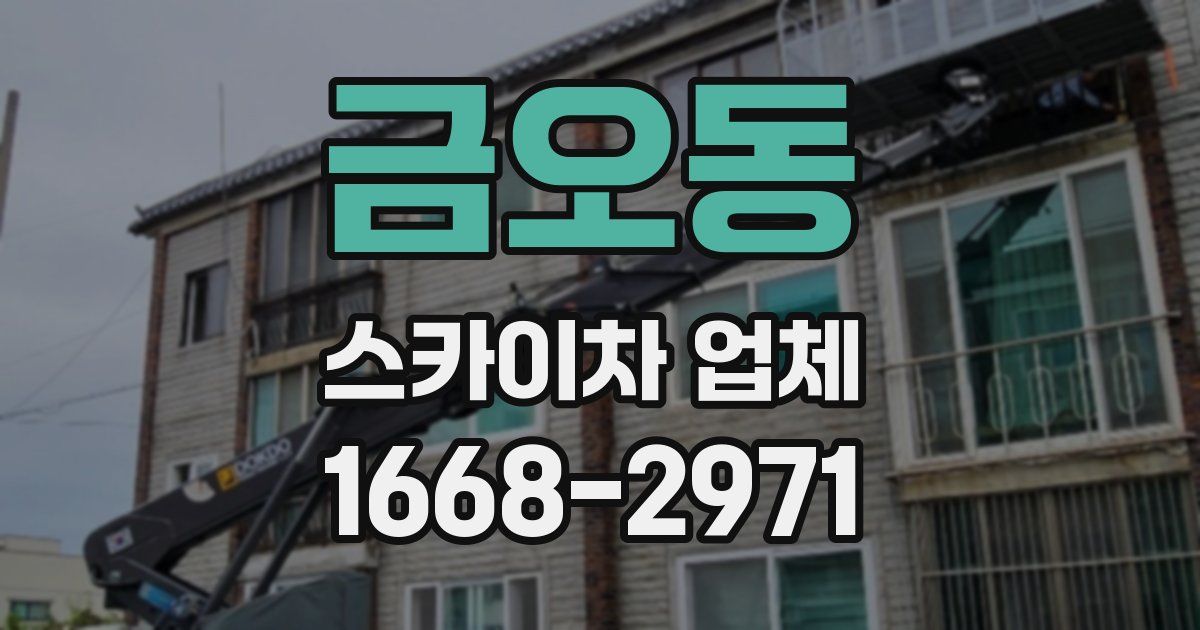 금오동 스카이차 업체