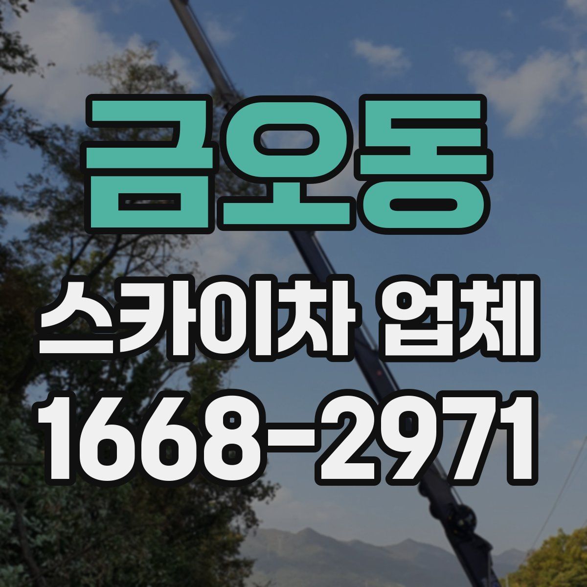 금오동 스카이차 업체