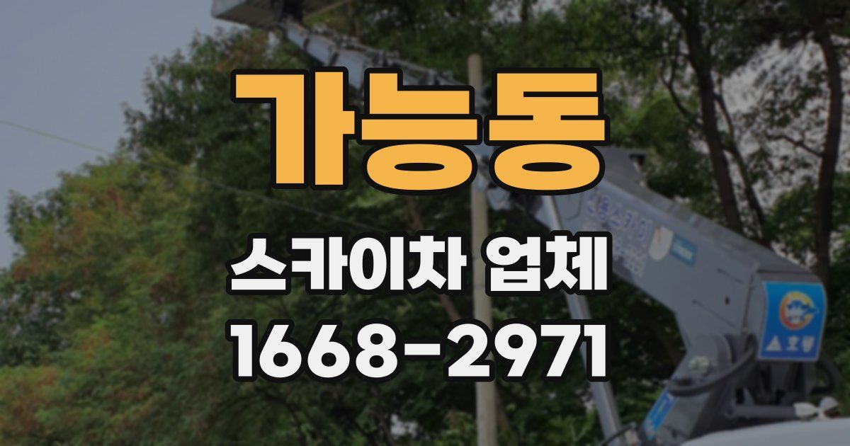 가능동 스카이차 업체