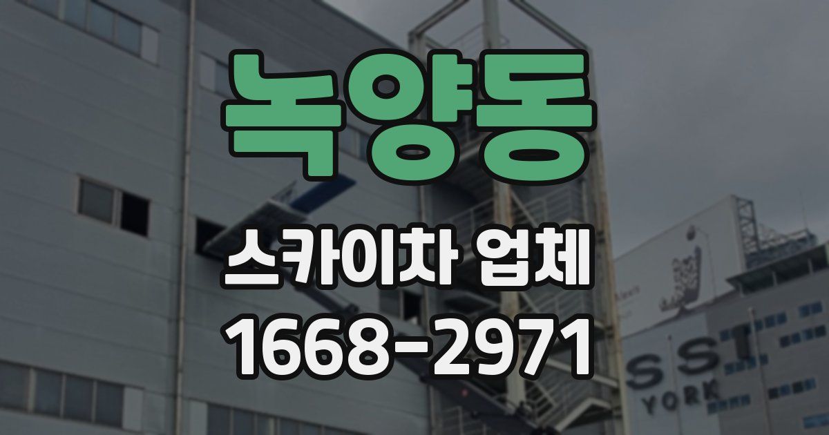 녹양동 스카이차 업체