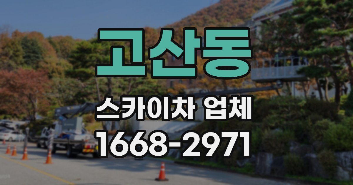 고산동 스카이차 업체