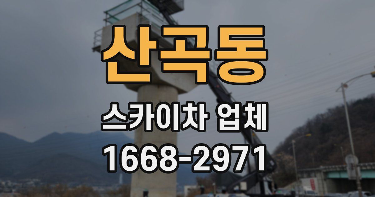 산곡동 스카이차 업체