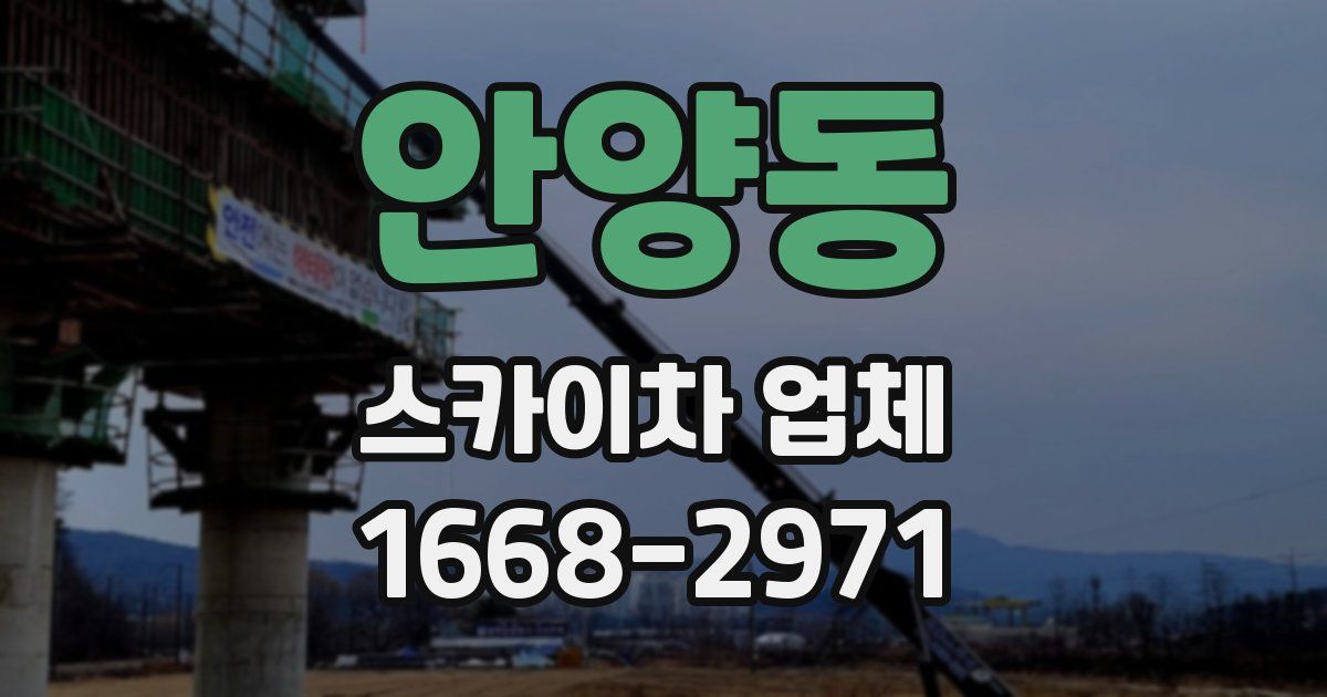 안양동 스카이차 업체