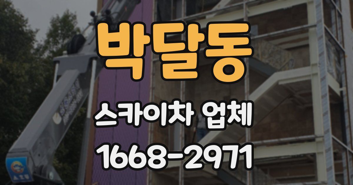 박달동 스카이차 업체