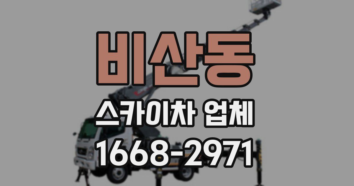 비산동 스카이차 업체