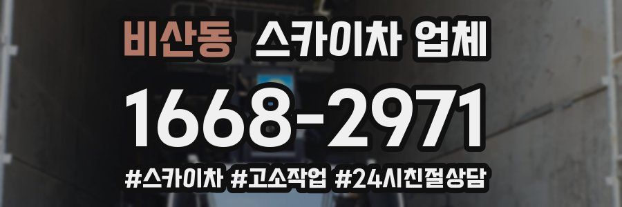비산동 스카이차 업체