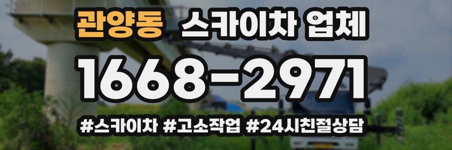 관양동 스카이차 업체